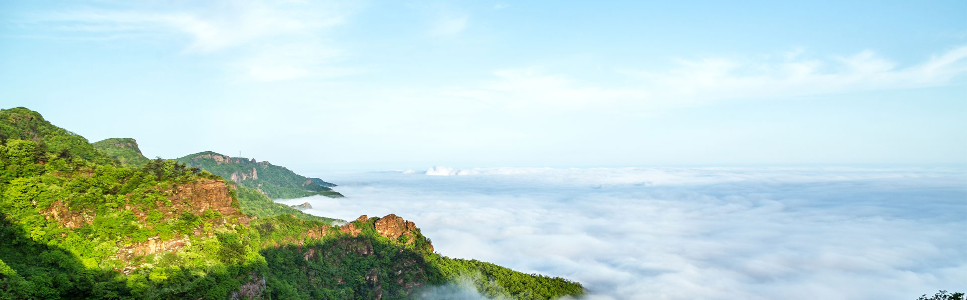 佰麗聯(lián)水漆 公司簡(jiǎn)介