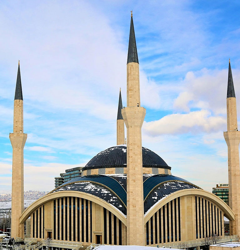 佰麗聯(lián)水漆 多彩涂裝體系